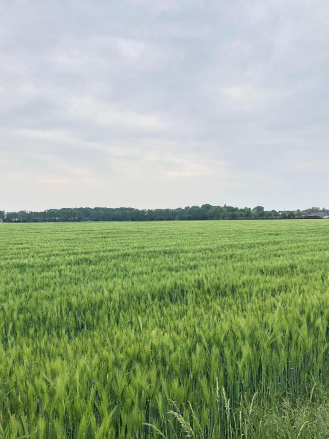 Bee Home - Urlaubs Und Business Loft Kevelaer Exteriör bild